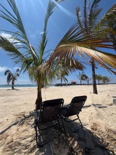 Oceanfront Apartment with Starlink internet - 4