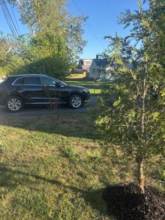 Enjoy a spacious 4 bedroom home each with its own private bathroom featuring 1 king bed 2 queen beds 1 full bed and a dedicated office space in a quiet Alexandria suburb just minutes from Washington DC - 2