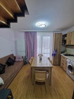 Kokhta Chalet - Bakuriani - 7