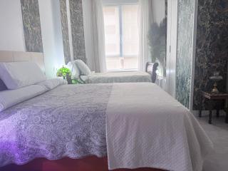 Wonderful Room con baño suite - San Sebastián - 7