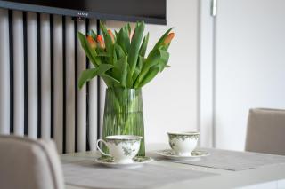 Apartament Daisy II Pszczyna Centrum - Pszczyna - 5