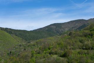 Udahni prirodu - Panorama - 2