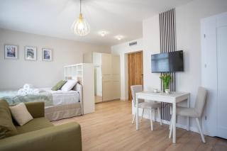 Apartament Daisy II Pszczyna Centrum - Pszczyna - 4