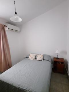 The Ficus Family, A Warm Home - 9