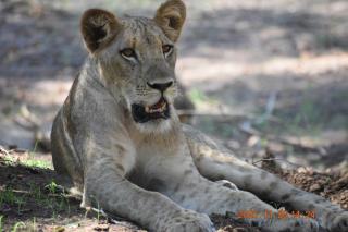 Bush River Safaris Campsite - 8