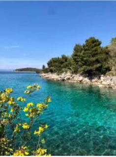 Brač Milna - 4