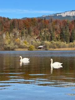 Seechalet Hallstatt EG - 3