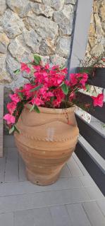 Alora House - 5