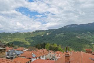Metsovo Fireplace Retreat 2 - Metsovo - 1