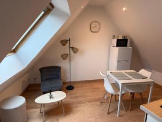 Appartement cosy en centre ville - 0