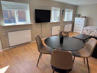 Wonderful studio apartment in central Reykjavík - 9