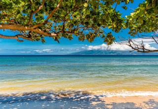 Ocean View West Maui Pool, Hot Tub, Pickleball - 9
