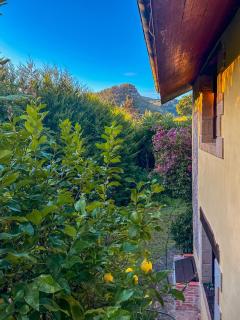 Casa Val de Vida - 0