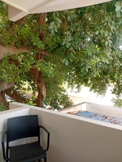 Hotel SEREMA - 6