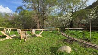 Gamma house - 6