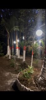 The Village Retreat - 7