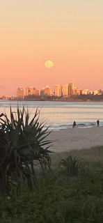 The Goldie Tugun San Siemion - 0
