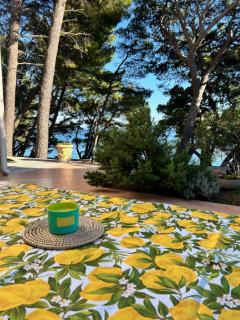 Apt Lone in Villa Ruza on Punta Rata Beach - 8