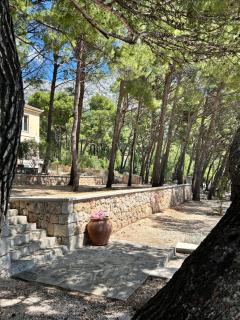 Apt Lone in Villa Ruza on Punta Rata Beach - 9