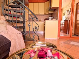 Comfort maisonette near to Alexander Nevsky Cathedral - 8