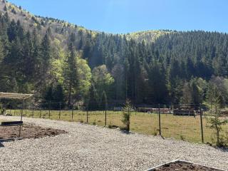 Frame&Forest2 - 2
