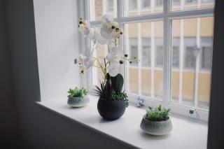 Cosy Modern 1BR in East Parade Sheffield - 4