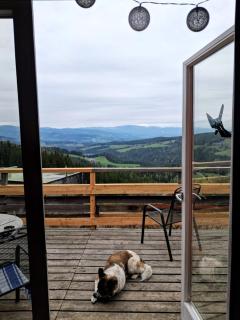 miki Chalets - 6