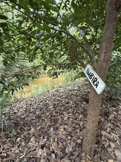 Chalé em reserva privada com café da manhã - 2