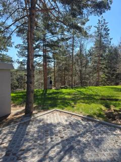 Lux apartman Mali Golubac - 4