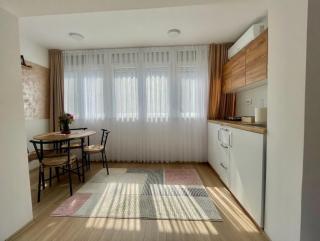 Lina Apartment Prizren - 6