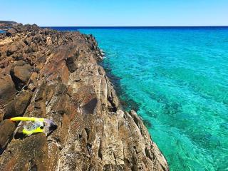 Stokes Bay Cliffs Kangaroo Island - 2
