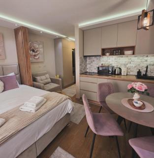 Luxury Studio Nikolina - bazen, pogled i parking - Vrnjačka Banja - 3