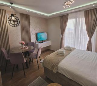 Luxury Studio Nikolina - bazen, pogled i parking - Vrnjačka Banja - 4