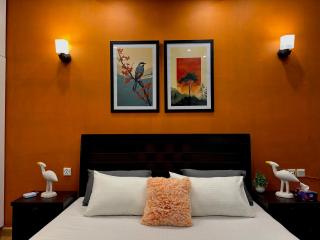 Modern Designer Room with Luxury Ambiance, DHA Phase 5 - 8