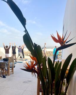 SeArt Surf Camp - 1