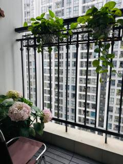 5 star apt with 2 bedrooms in Vinhomes Greenbay - 5