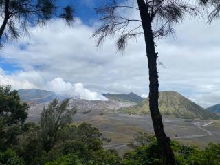 Homestay Honeymoon Bromo - 4