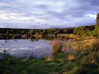 Bushland Retreat - Cape Bridgewater - 1