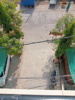 Shiv Aaradhya Home Stay - 8
