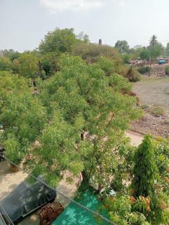 Shiv Aaradhya Home Stay - 7