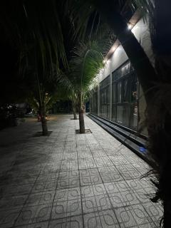 Homestay Vườn Dừa - Coconut Garden Homestay - 1