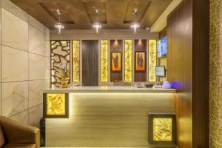 Treebo Nestlay Airport Alandur - 8