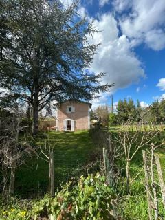 Mirande Montagne-Saint Emilion - 8