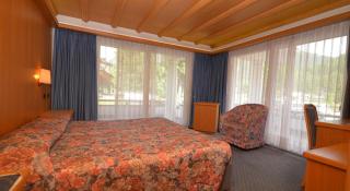 Hotel Trento - Pozza di Fassa - 9