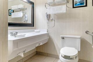 Comfort Inn Manistique - 1