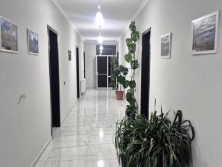 Urban hotel Tsalenjikha - 8