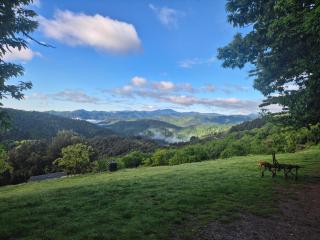 camping nature dans les Cévennes - Saint-Germain-de-Calberte - 8