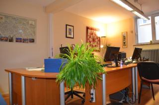 Institute Of Cultural Affairs - 4