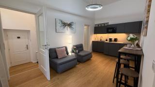 Moderní apartmán Korunní Prestige blízko centra - 5