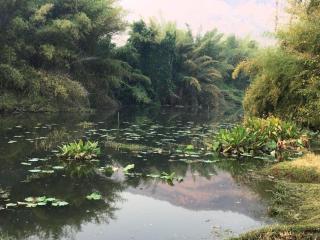 Le Bassin Erawan Resort - 4